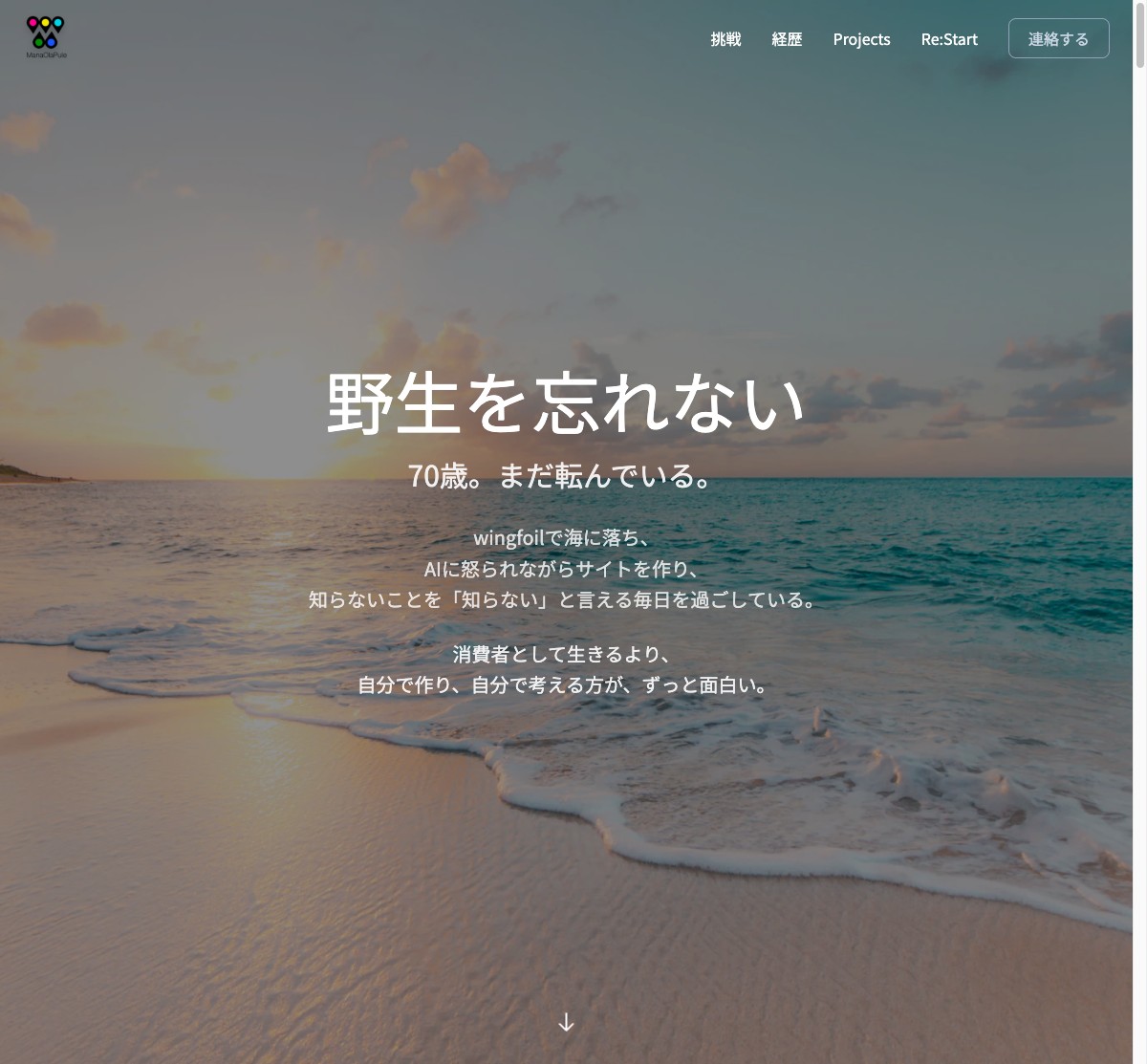 wild-4sx.pages.dev スクリーンショット